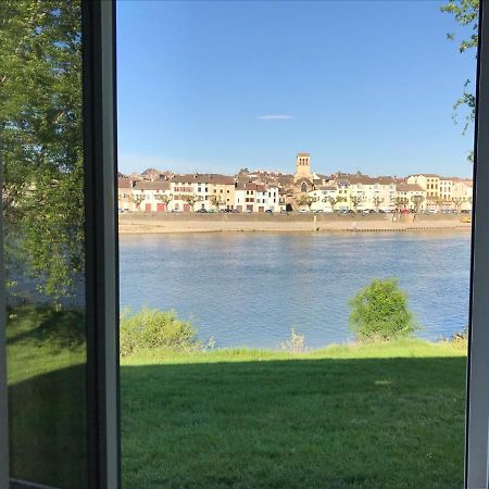 Domaine Des Jardins De La Saone Hotel Турню Екстериор снимка